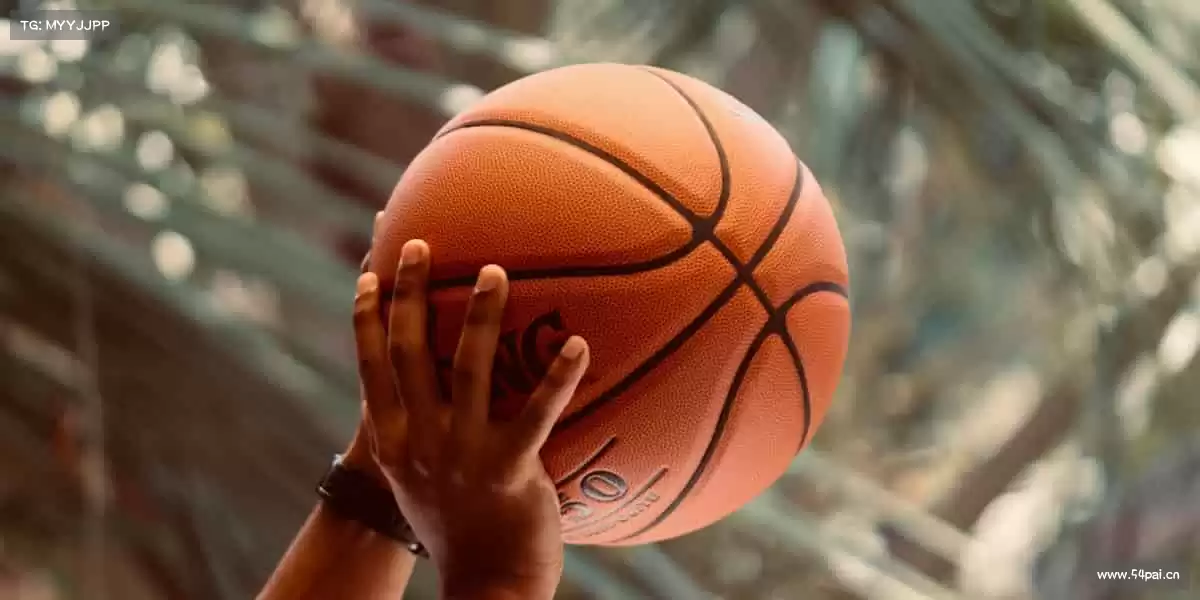 行业领先的理由